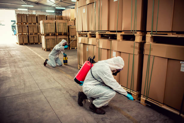 Wasp Removal Services in Florida Gulf Coast University, FL