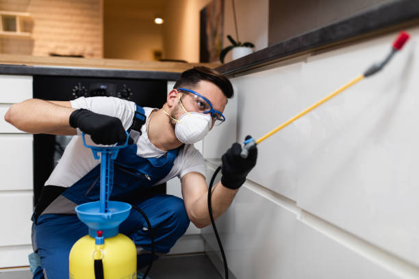 Best Local Pest Control Services  in Orida Gulf Coast University, FL