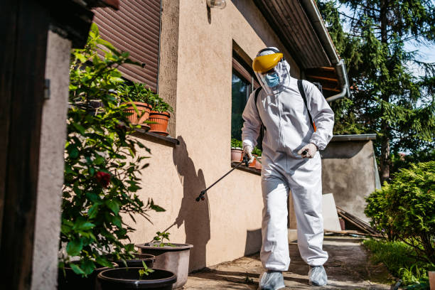Best Flea Control Services  in Orida Gulf Coast University, FL
