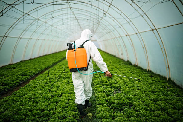 Best Local Pest Control Services  in Orida Gulf Coast University, FL