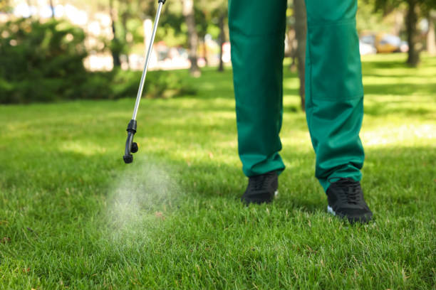 Best Flea Control Services  in Orida Gulf Coast University, FL