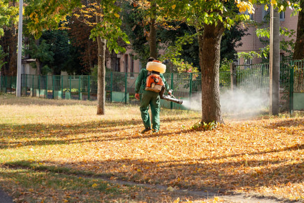 Best Spider Control Near Me  in Orida Gulf Coast University, FL
