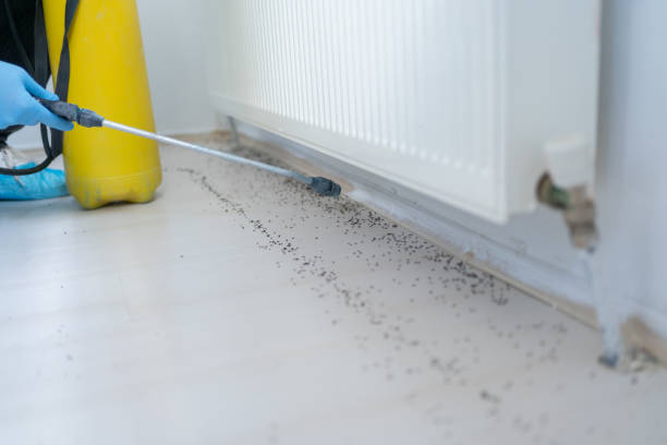 Best Residential Pest Control  in Orida Gulf Coast University, FL
