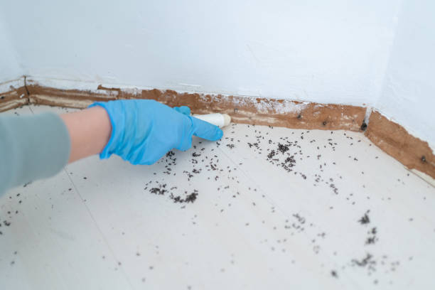Best Pest Control Near Me  in Orida Gulf Coast University, FL