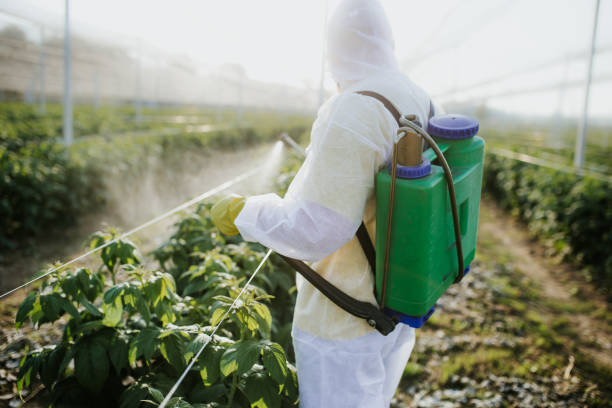 Trusted Florida Gulf Coast University, FL Pest Control Experts
